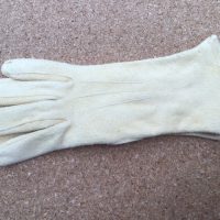 Chamois Leather Showing Gloves