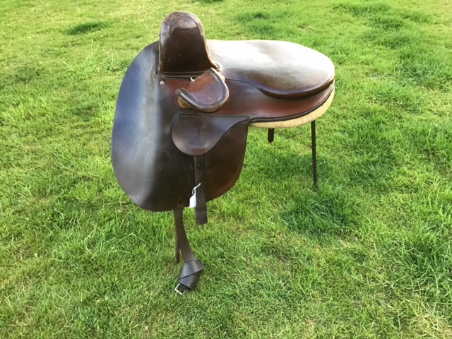 Owen Saddle. 17”  (RM)