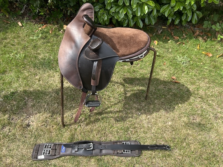 Pony Pilch 12"